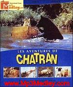 Chatran 1988