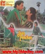 Jaan Pehchan 1991