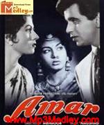 Amar 1954