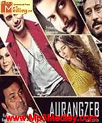 Aurangzeb 2013