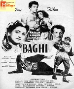 Baghi 1953