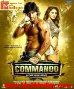 Commando 2013