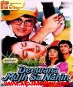 Deewana Mujhsa Nahin 1990