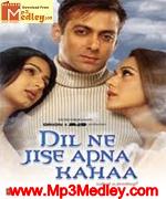 Dil Ne Jise Apna Kahaa 2004