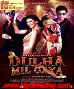 Dulha Mil Gaya 2010