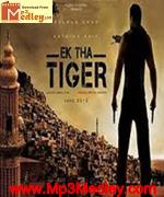 Ek Tha Tiger 2012