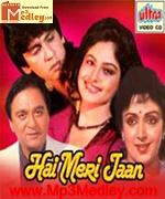 Hai Meri Jaan 1991