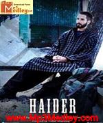 Haider 2014