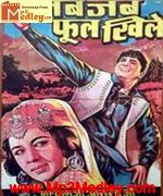 Jab Jab Phool Khile 1965