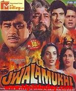 Jwalamukhi 1980