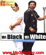 Mr Black Mr White 2008