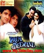 Prem Deewane 1992