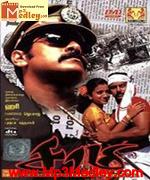 Saamy 2003