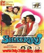 Shatranj 1993