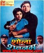 Shola Aur Shabnam 1992