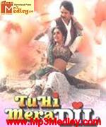 Tu Hi Mera Dil 1995