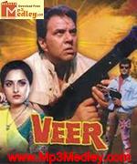 Veer 1995