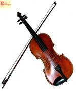 violin